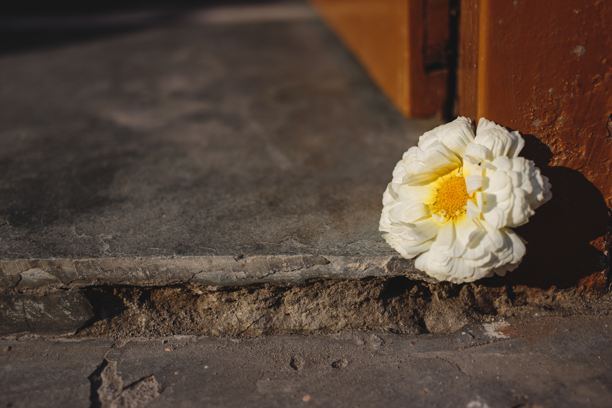 web_small_061