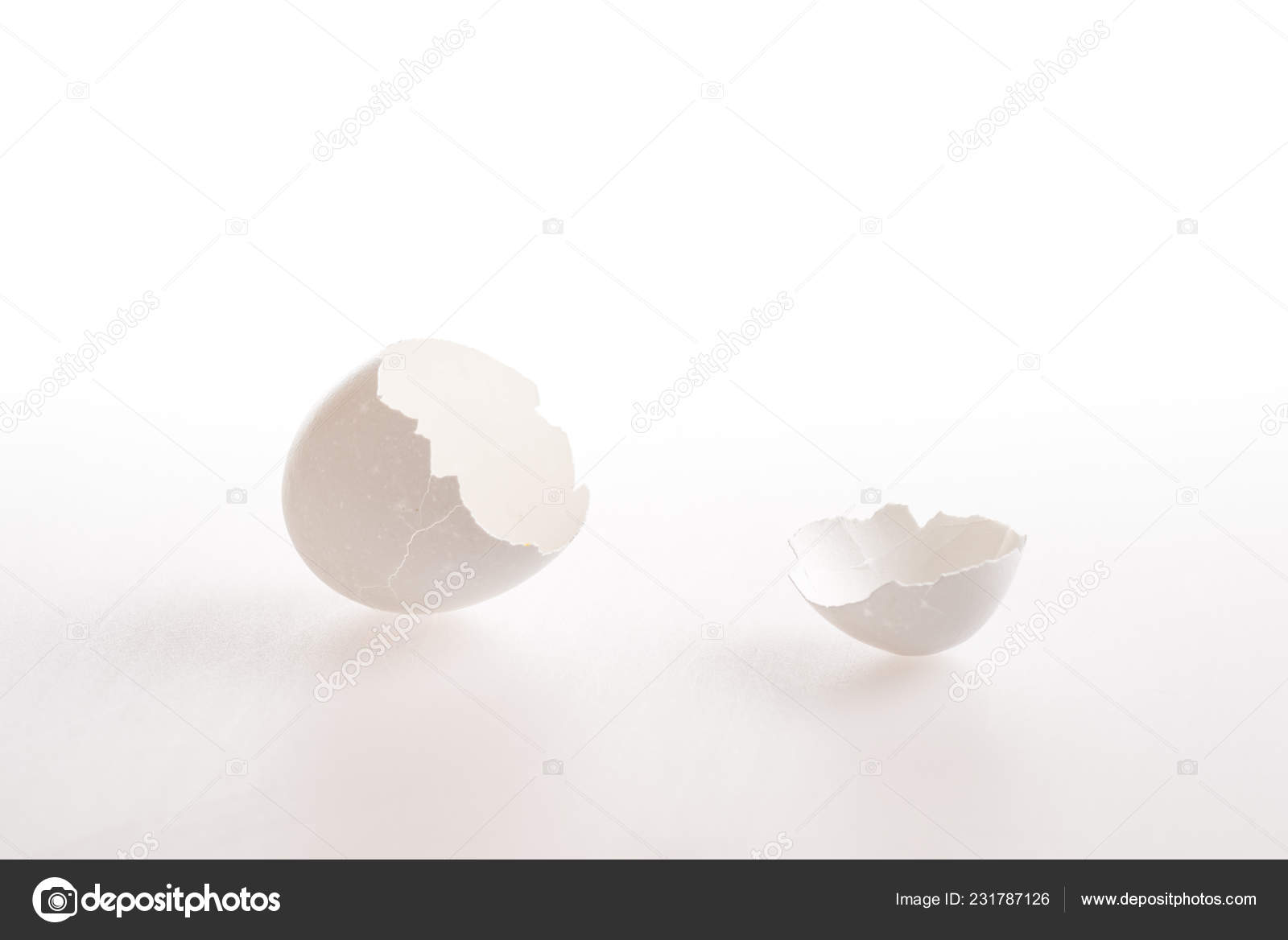A broken white egg shell with cracks isolated on a white background and with copy space.